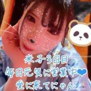 ヒメ日記 2025/04/10 17:25 投稿 ほたる ハピネス福岡