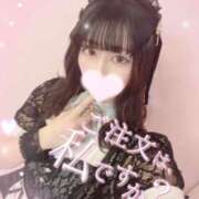 ヒメ日記 2025/05/31 08:40 投稿 はく ラブ・アンド・ラブ