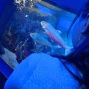 ヒメ日記 2025/05/06 19:10 投稿 ちあき ラブ・アンド・ラブ