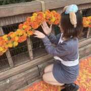 ヒメ日記 2025/10/23 14:06 投稿 つぐみ ラブ・アンド・ラブ