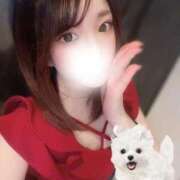 ぴの 🔞華○ン🔞 ラブ・アンド・ラブ