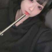 ヒメ日記 2025/04/06 15:10 投稿 くま ラブ・アンド・ラブ