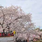 ヒメ日記 2025/04/06 18:13 投稿 セレナ若奥 未熟な若奥