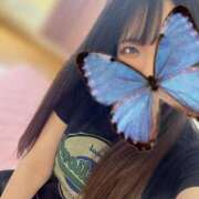 真白あいさ 16時〜 ブルーバード