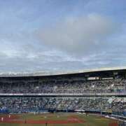 ヒメ日記 2025/04/10 16:00 投稿 えま ナンバーゼロハチイチ