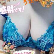 ヒメ日記 2025/03/29 16:36 投稿 宇多野艶 五十路マダム姫路店