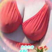 ヒメ日記 2025/03/30 15:00 投稿 宇多野艶 五十路マダム姫路店