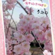 ヒメ日記 2025/04/09 10:16 投稿 宇多野艶 五十路マダム姫路店