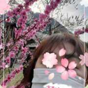 ヒメ日記 2025/04/12 07:54 投稿 宇多野艶 五十路マダム姫路店