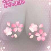 ヒメ日記 2025/04/12 15:48 投稿 宇多野艶 五十路マダム姫路店