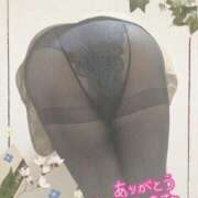 ヒメ日記 2025/05/17 12:58 投稿 宇多野艶 五十路マダム姫路店