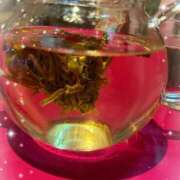 ヒメ日記 2025/09/17 00:04 投稿 怜来(れいら) グランドオペラ横浜