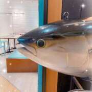 ヒメ日記 2026/04/10 21:23 投稿 怜来(れいら) グランドオペラ横浜