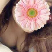 ヒメ日記 2025/05/26 14:53 投稿 百瀬 奈々 こあくまな熟女たち小倉店（KOAKUMAグループ）