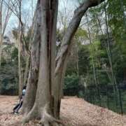 ヒメ日記 2025/04/12 22:11 投稿 あい Welcome Cafe(ウェルカムカフェ) 八王子本店