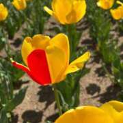 あい 満員御礼ありがとうございます♡ Welcome Cafe(ウェルカムカフェ) 八王子本店