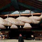 ヒメ日記 2025/03/20 15:15 投稿 みなみ 人妻本舗愛のしずく名古屋店