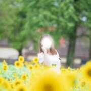 ヒメ日記 2025/08/28 15:15 投稿 みなみ 人妻本舗愛のしずく名古屋店