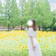 ヒメ日記 2025/09/23 12:16 投稿 みなみ 人妻本舗愛のしずく名古屋店