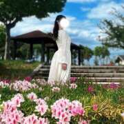 ヒメ日記 2026/04/21 12:55 投稿 みなみ 人妻本舗愛のしずく名古屋店