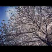 ヒメ日記 2025/04/01 21:43 投稿 多田いちか 恋する妻たち