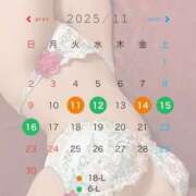 ヒメ日記 2025/11/11 14:37 投稿 コユキ AMOUR（アムール）