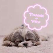 ヒメ日記 2025/03/19 11:32 投稿 こはる 大塚デリヘル倶楽部