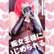 ヒメ日記 2025/11/25 20:09 投稿 らむ きみと一緒にできること