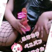 ヒメ日記 2026/02/23 08:49 投稿 らむ きみと一緒にできること