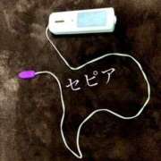 ヒメ日記 2026/02/22 19:39 投稿 保奈美 きみと一緒にできること