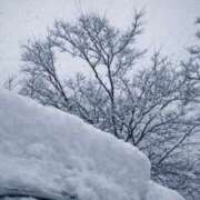 ヒメ日記 2026/01/24 12:29 投稿 マコト きみと一緒にできること