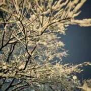 ヒメ日記 2026/01/31 22:49 投稿 マコト きみと一緒にできること