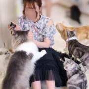 ヒメ日記 2025/04/29 21:25 投稿 みなみ でりどす