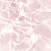 ヒメ日記 2026/02/25 17:48 投稿 青井　みく 雫(しずく)