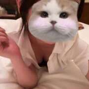 ヒメ日記 2025/04/29 19:30 投稿 照橋　ここ NADIA大阪店