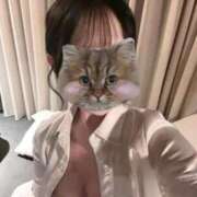 ヒメ日記 2026/01/24 18:40 投稿 照橋　ここ NADIA大阪店