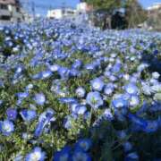 ヒメ日記 2025/04/16 09:01 投稿 アマゾネス　エルザ 八王子だョ！変態集合