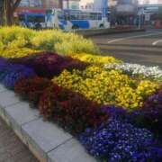 ヒメ日記 2025/04/18 22:33 投稿 アマゾネス　エルザ 八王子だョ！変態集合