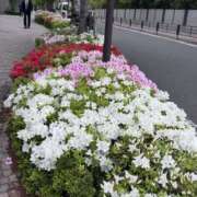 ヒメ日記 2025/04/25 08:37 投稿 アマゾネス　エルザ 八王子だョ！変態集合