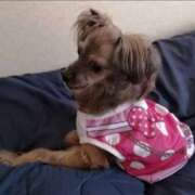 ヒメ日記 2025/04/26 10:15 投稿 アマゾネス　エルザ 八王子だョ！変態集合