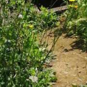 ヒメ日記 2025/04/29 21:02 投稿 アマゾネス　エルザ 八王子だョ！変態集合