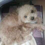 ヒメ日記 2025/05/13 15:07 投稿 アマゾネス　エルザ 八王子だョ！変態集合