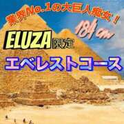ヒメ日記 2025/08/29 07:58 投稿 アマゾネス　エルザ 八王子だョ！変態集合