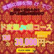 ヒメ日記 2025/11/19 09:52 投稿 アマゾネス　エルザ 八王子だョ！変態集合