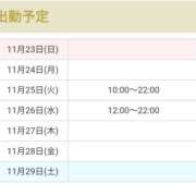 ヒメ日記 2025/11/23 17:11 投稿 アマゾネス　エルザ 八王子だョ！変態集合