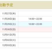 ヒメ日記 2025/11/27 22:14 投稿 アマゾネス　エルザ 八王子だョ！変態集合