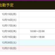 ヒメ日記 2025/12/15 13:36 投稿 アマゾネス　エルザ 八王子だョ！変態集合