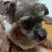 ヒメ日記 2026/01/14 11:25 投稿 アマゾネス　エルザ 八王子だョ！変態集合