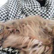 ヒメ日記 2026/01/20 03:44 投稿 アマゾネス　エルザ 八王子だョ！変態集合