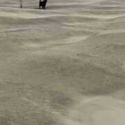 ヒメ日記 2026/03/04 17:26 投稿 アマゾネス　エルザ 八王子だョ！変態集合